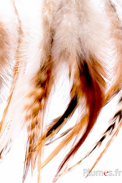 Pendentif Coq chinchilla - 12 cm - roux naturel